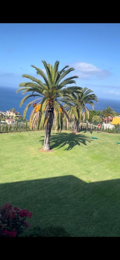 Vista Mar Azul Elegante Y Acogedor * Santa Ursula (Tenerife)